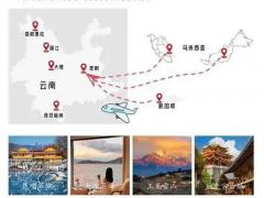 求购特色糕点 160盒