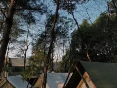 伴手礼盒区域代理招商